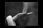 41